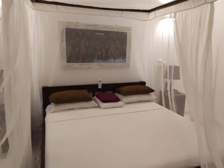 Twiga House Resort Piscina ☆☆☆☆☆ Pearl Beach 와타무 외부 사진